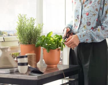 Inglasade balkonger från Balco skapar stora möjligheter för umgänge och gemenskap.