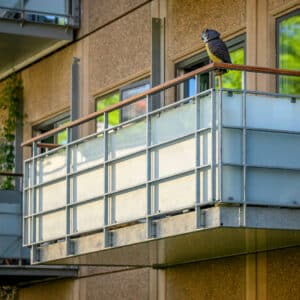 Balco Altaner EF Rentemestergården