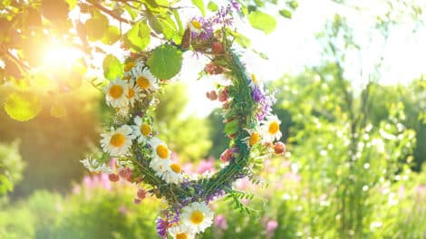 Balco önskar glad midsommar!